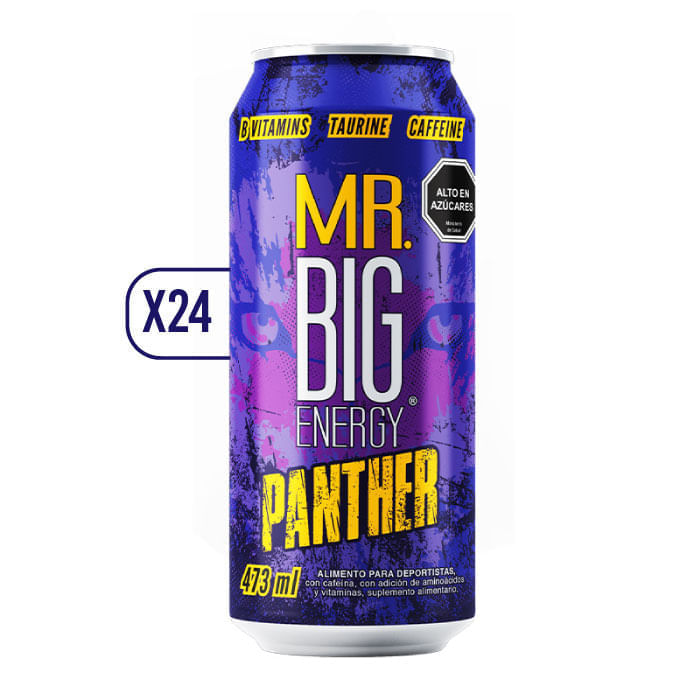 Pack x24 Energética Mr. Big Panther 473cc