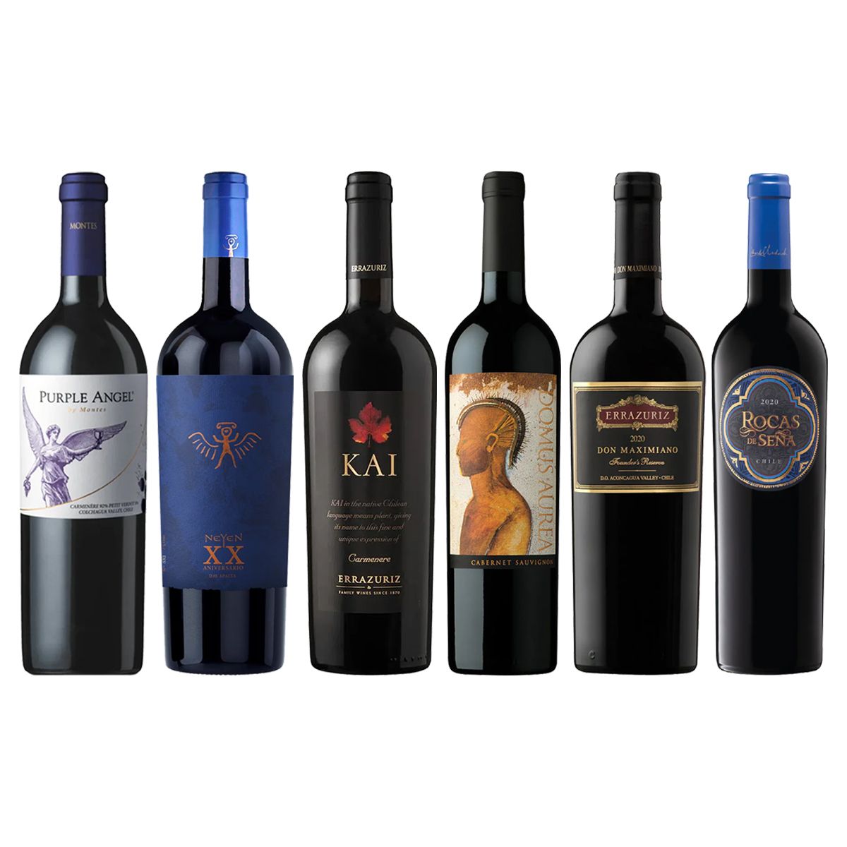 PACK 6 BOTELLAS ICONOS PARA CELEBRAR IV