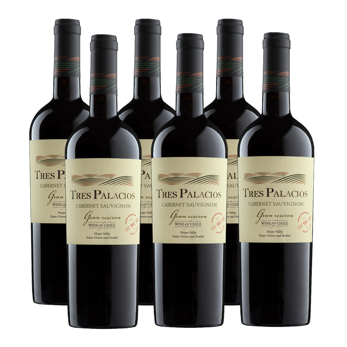 CAJA x6 TRES PALACIOS GRAN RESERVA CABERNET SAUVIGNON 750 ML