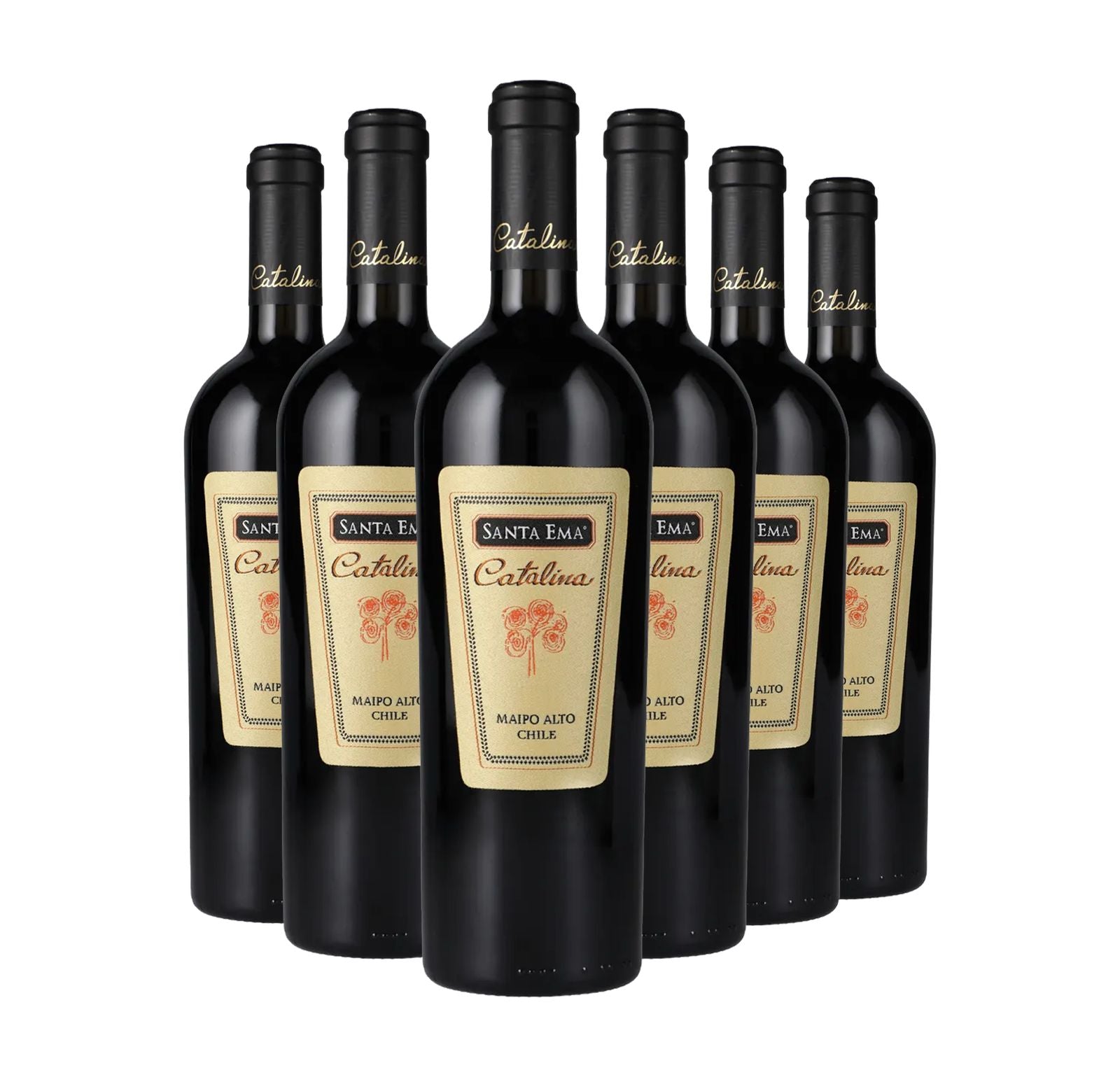 PACK 6 BOTELLAS SANTA EMA CATALINA