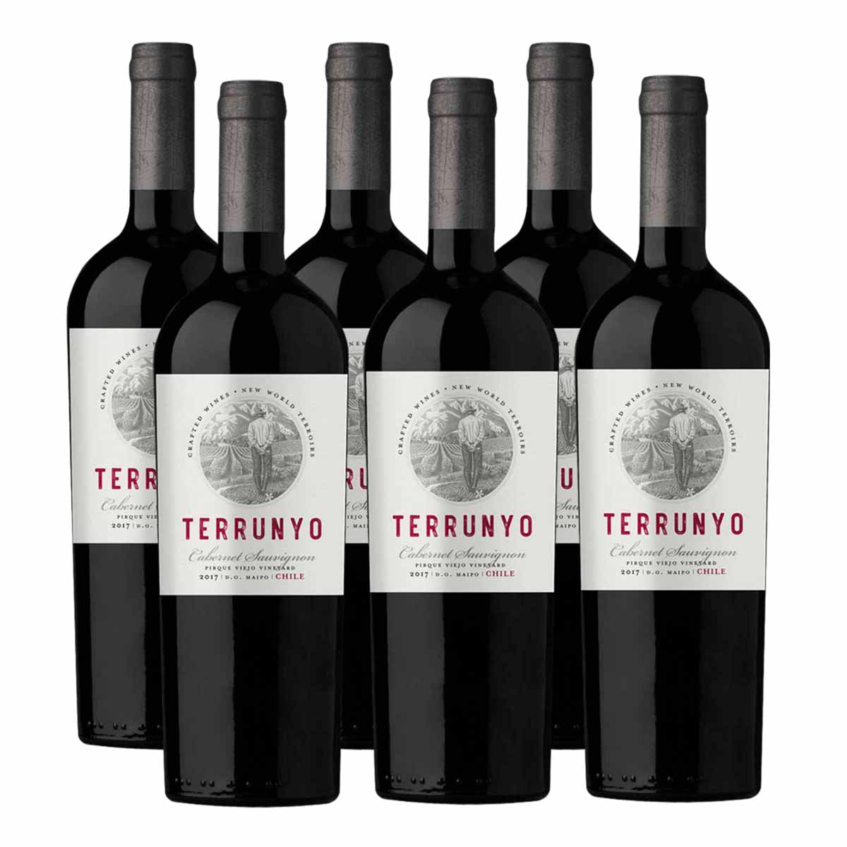 Pack x6 CONCHA Y TORO TERRUNYO CABERNET SAUVIGNON 750 ML