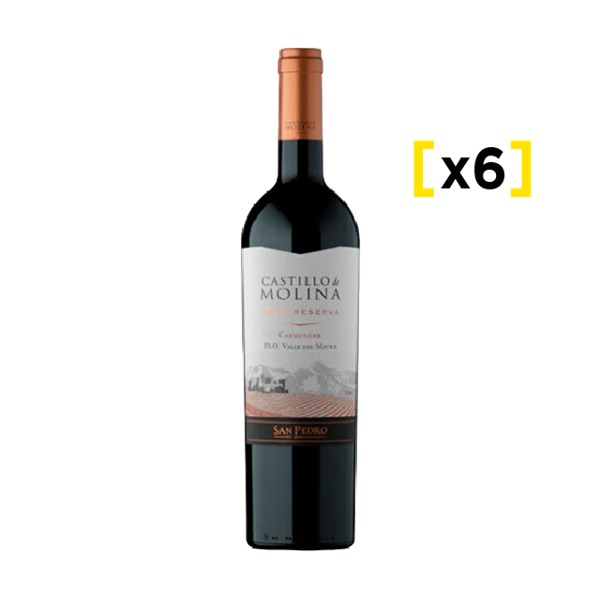 Vino Castillo de Molina Gran Reserva Carmenere Botella 750cc x6
