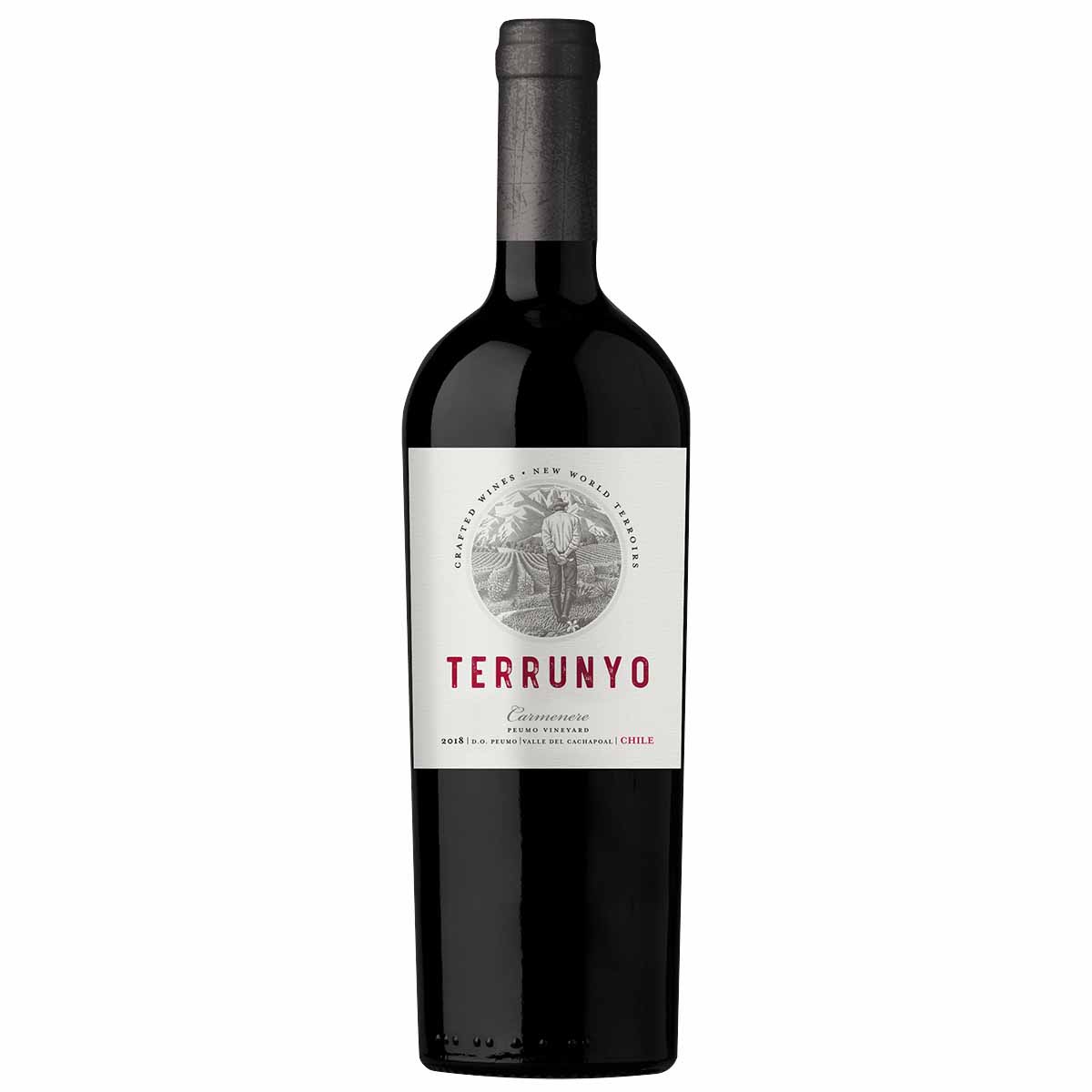 CONCHA Y TORO TERRUNYO CA 750 CC