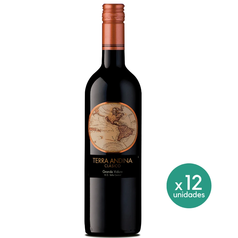 Vino Terra Andina Grand Vidure 750 cc