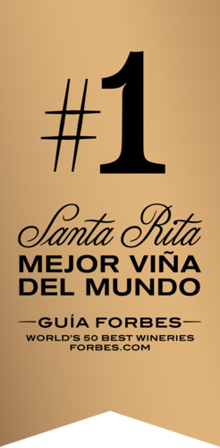 Vino Medalla Real Edicion 40 Años